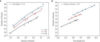 Modeling branch attributes and biomass for Catalpa bungei plantations under various fertilization regimes